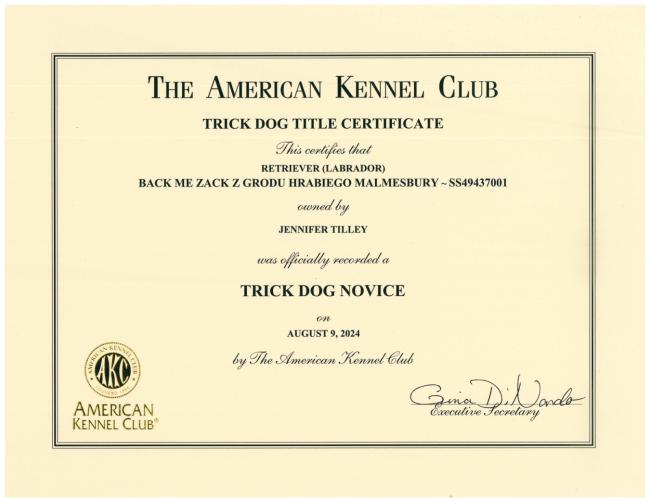 Ciszek TKN Certificate