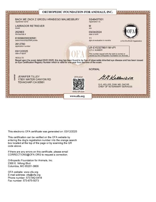 Ciszek eyes certificate