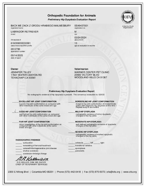 Ciszek hips certificate