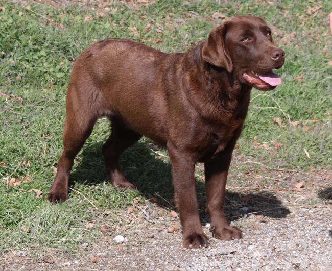 Ciszek 1 yr 01
