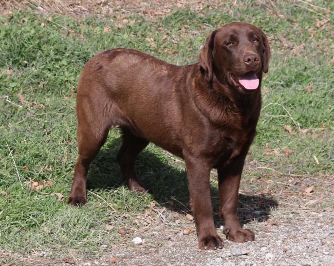Ciszek 1 yr 02