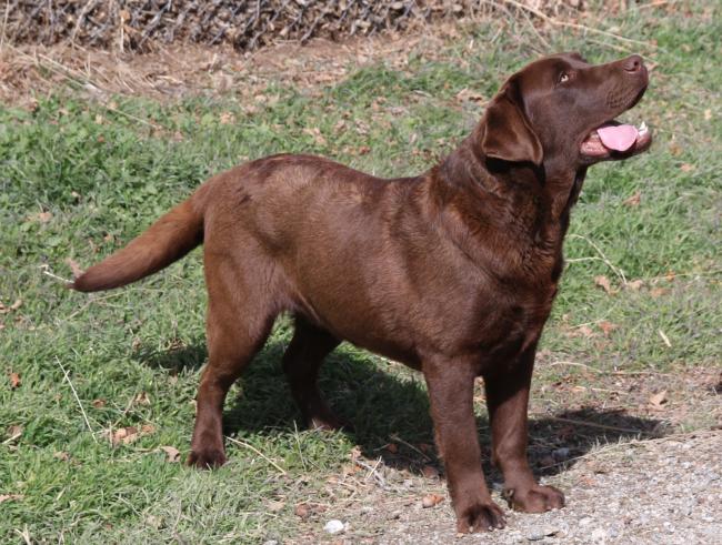 Ciszek 1 yr 03