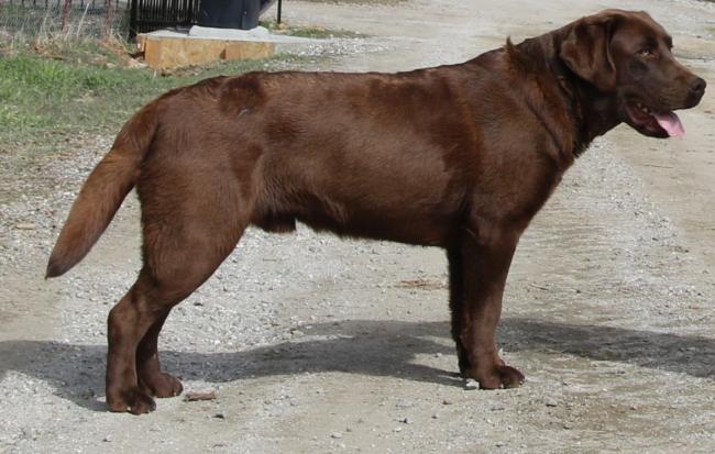 Ciszek 1 yr 04
