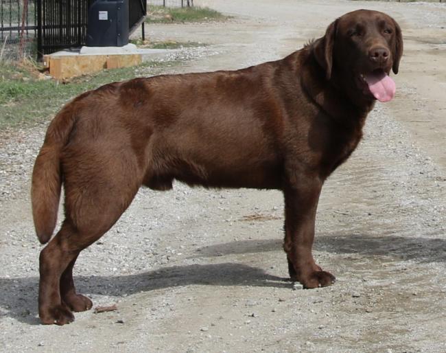 Ciszek 1 yr 05