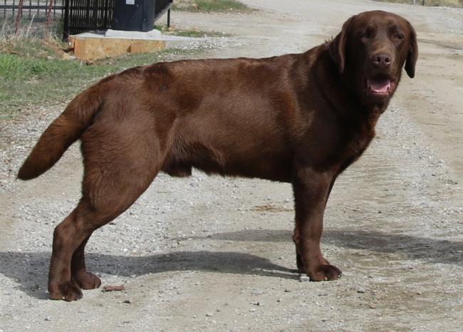 Ciszek 1 yr 06