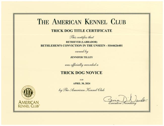 Faith TKN Certificate