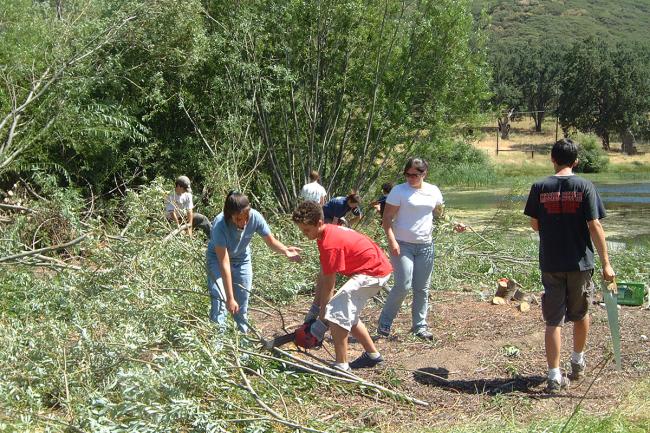 Preparing way clearing