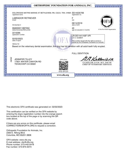 Dolorosas Full Dention Certificate