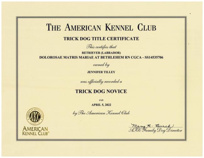 Dolorosas Novice Trick Dog Certificate sm