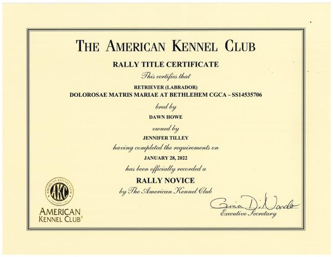 Dolorosas Rally Novice Certificate