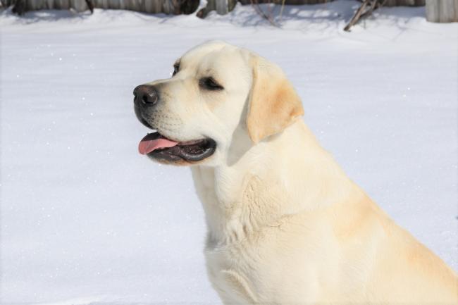 Flame 13 mnths 5