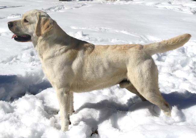 Flame at 2 Years
