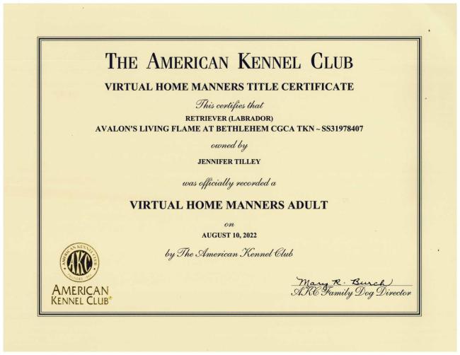 Flames Adult Home Manners Certificate