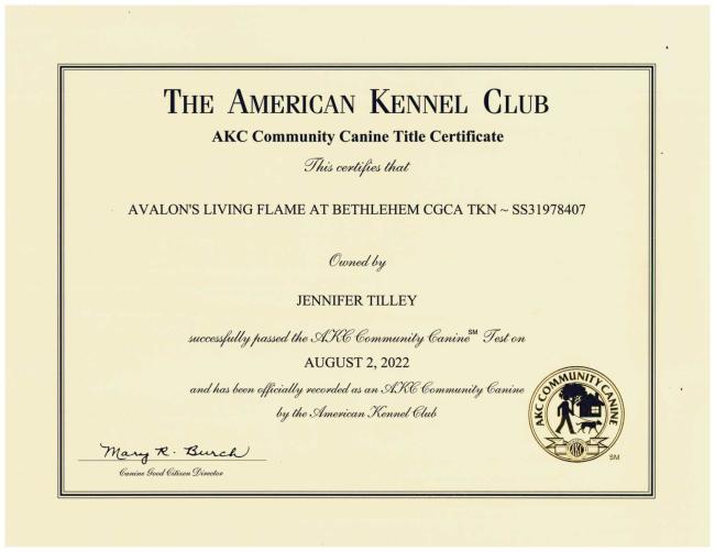 Flames CGCA Certificate
