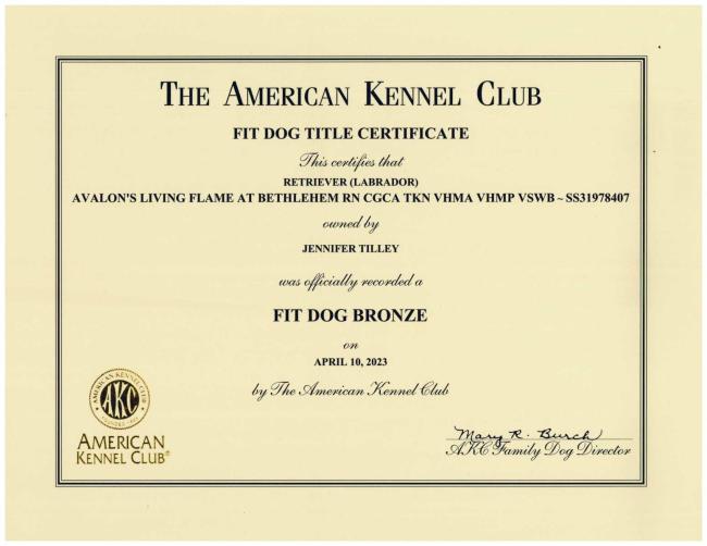 Flames Fit Dog Certificate
