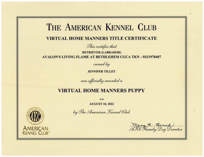 Flames Puppy Home Manners Certificate