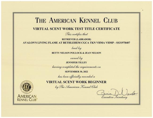 Flames VSWB Certificate