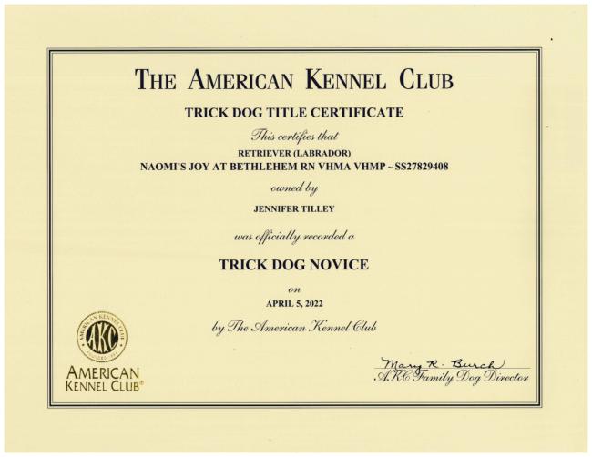 Naomis Novice Trick Dog Certificate sm