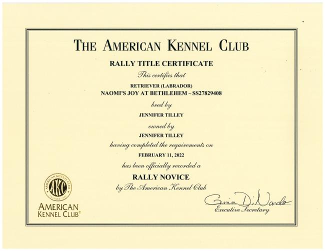 Naomis Rally Novice Certificate