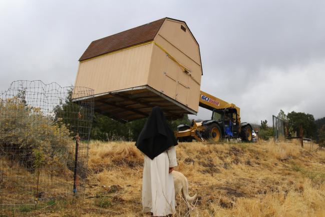 2025 10 sheds 03 bee