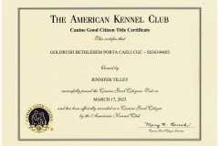 Caelis-CGC-Certificate