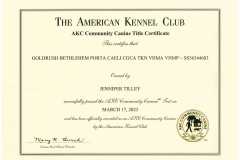 Caelis-CGCA-Certificate