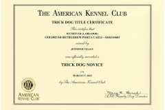 Caelis-Trick-Dog-Novice-Certificate