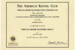 Flames-Adult-Home-Manners-Certificate