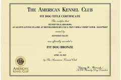 Flames-Fit-Dog-Certificate