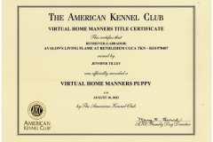 Flames-Puppy-Home-Manners-Certificate