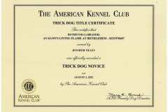 Flames-Trick-Dog-Novice-Certificate