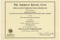 Flames-VSWB-Certificate