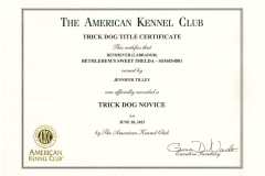 Imeldas-Trick-Dog-Novice-Certificate