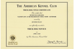 Naomis-Novice-Trick-Dog-Certificate-sm