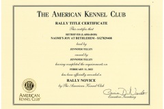 Naomis-Rally-Novice-Certificate