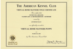 Naomis-VHMP-Certificate-sm