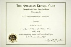 Nicos-CGC-Certificate