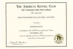 Nicos-CGCA-Certificate