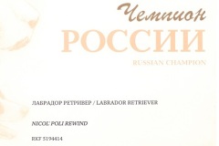 Nicos-CH-of-Russia-Certificate