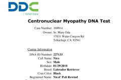 Nicos-CNM-Test