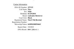 Nicos-DD-Clear-of-Dilute-Gene-Test-1