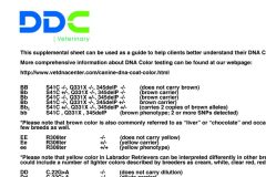 Nicos-DD-Clear-of-Dilute-Gene-Test_Page_2