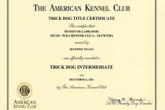 Nicos-Intermediate-Trick-Dog-Certificate