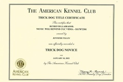 Nicos-Novice-Trick-Dog-Certificate