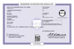 Nicos-OFA-Dilute-Clear-Certificate