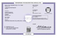 Nicos-OFA-EIC-Certificate