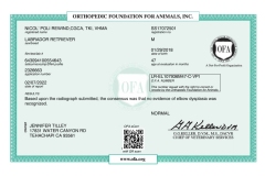 Nicos-OFA-Elbow-Certificate