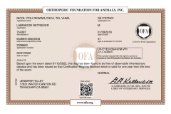 Nicos-OFA-Eye-Certificate