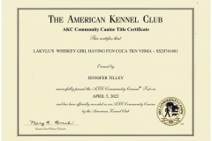 Vivas-CGCA-Certificate-sm