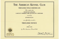 Vivas-Novice-Trick-Dog-Certificate-sm